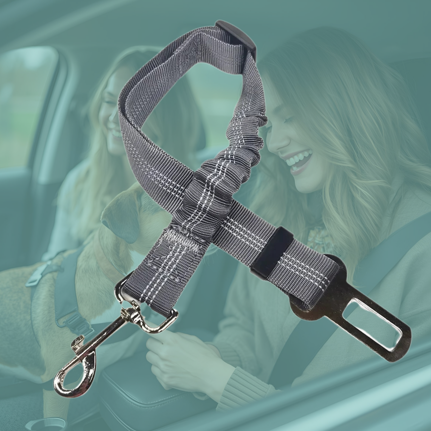 RideSafe™ Pet Seat Belt