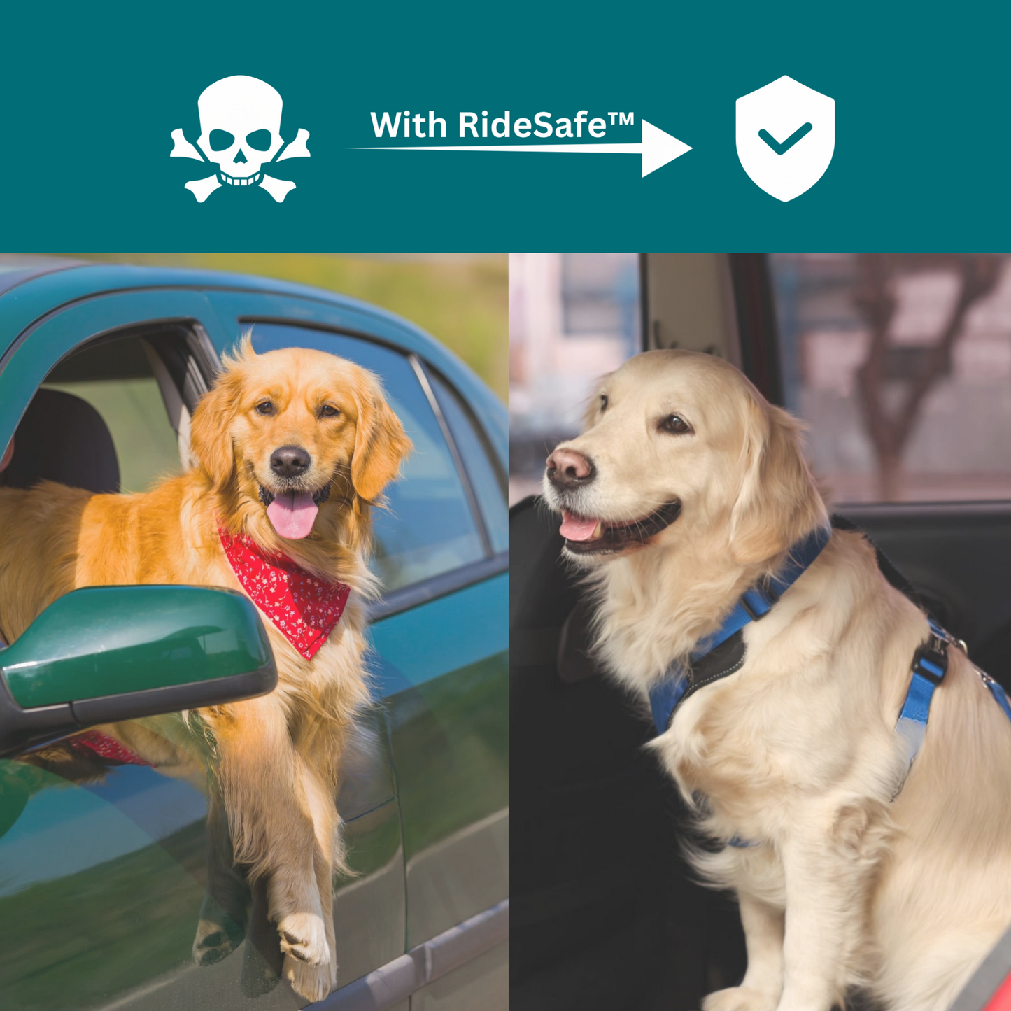 RideSafe™ Pet Seat Belt