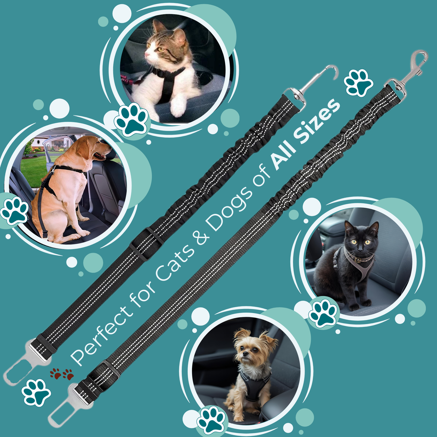 RideSafe™ Pet Seat Belt