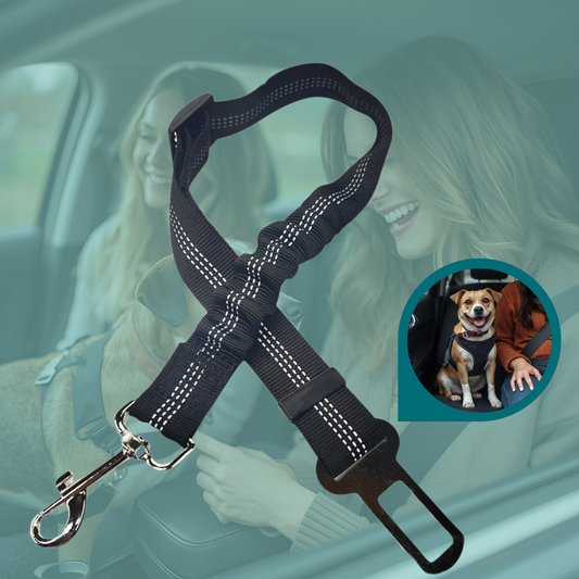 RideSafe™ Pet Seat Belt